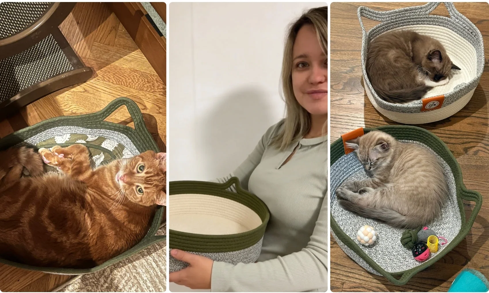 Trois chats installés dans le Panier Naturel Zevlo